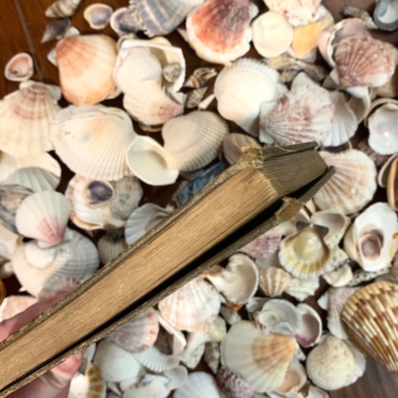 1918 Vintage Green Hardcover Children’s Book - Picture 15 of 15